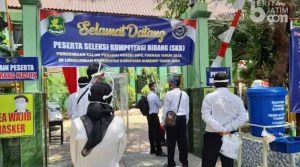 Akhir Mei, Rekrutmen Ribuan CPNS dan PPPK Sumenep