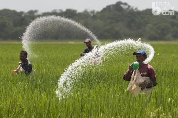 Alsintan Bantu Petani Tingkatkan Produktivitas Hingga Kualitas Hasil Panen