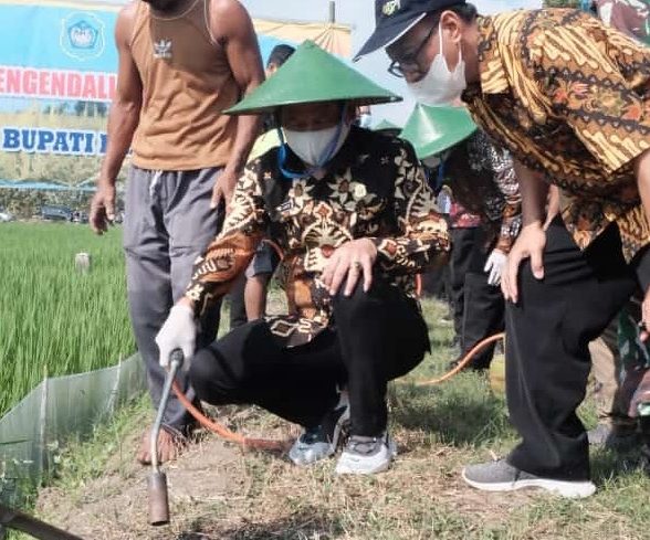 Tanam Perdana Tembakau, Ketua DPRD : Kesejahteraan Petani Itu Penting
