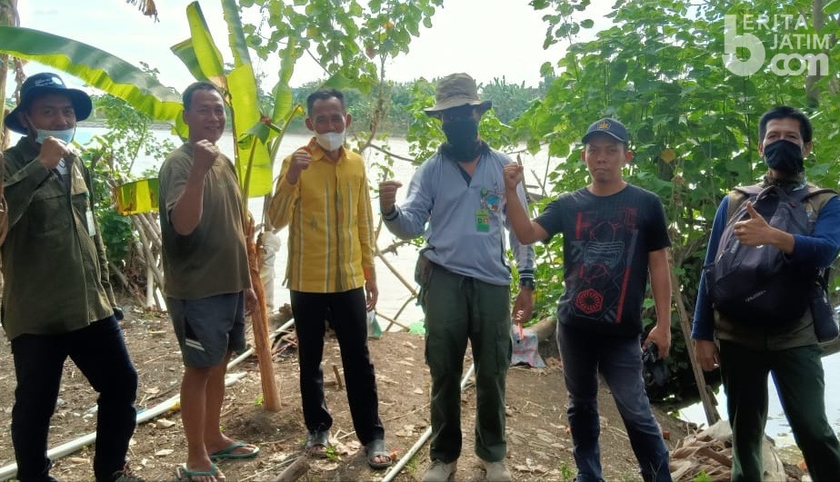Buaya Muncul Lagi di Bantaran Sungai Lamongan, Tim BKSDA Jatim Sarankan Ini