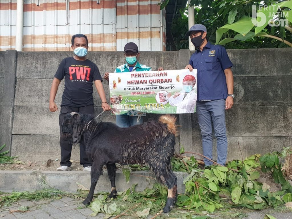 Indah Kurnia Bagikan Hewan Kurban ke Sejumlah Wilayah
