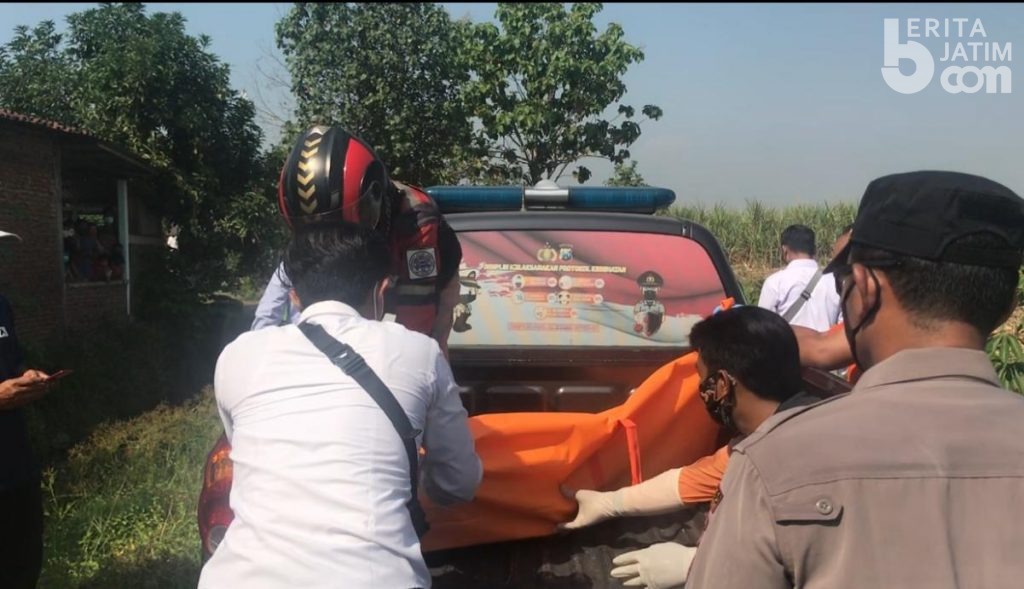 Jenazah Suwarno Ditemukan di Kebun Kangkung Gedeg Kabupaten Mojokerto