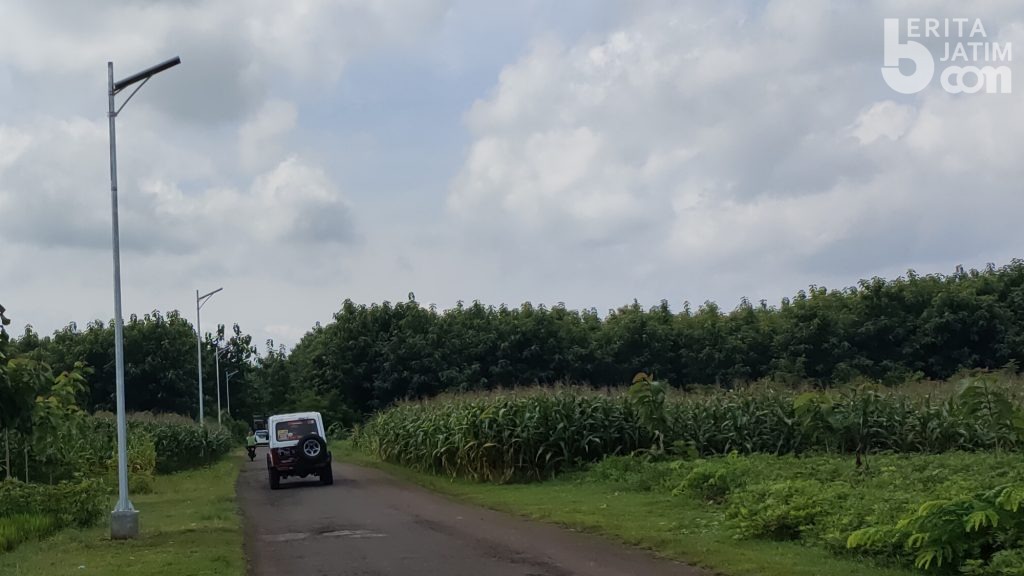 Pemkab Bojonegoro Pasang Sebanyak 884 PJU di 2021