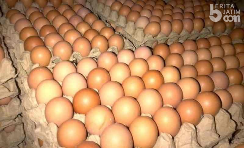 Terkait Harga Telur, Disnakkan Magetan Akui Tak Bisa Intervensi