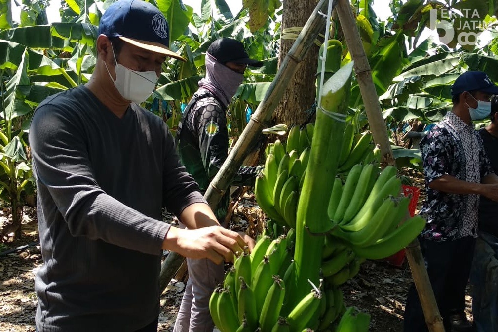 Gus Iwan Dorong Pemprov Jatim Hadir Perhatikan Peluang Usaha di Sektor Pertanian