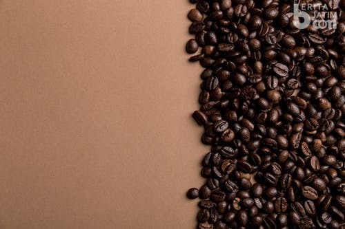 Sejarah Kedai Kopi Penuh Kenikmatan