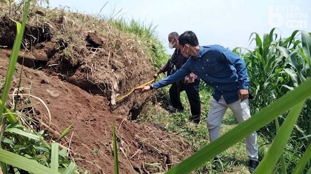 Struktur Batu Bata Ditemukan di Lahan Warga di Mojokerto, Diduga Candi Peninggalan Kerajaan Majapahit