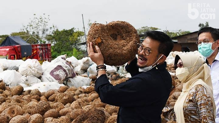 Petani Porang Rasakan Manfaat Pupuk Bersubsidi Kementan