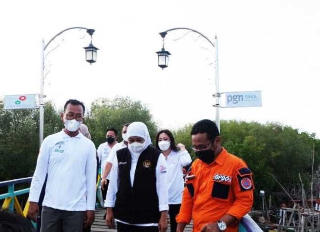 Desa Banyuurip Gresik Dulu Kumuh, Kini Disulap Jadi Pusat Konservasi Mangrove