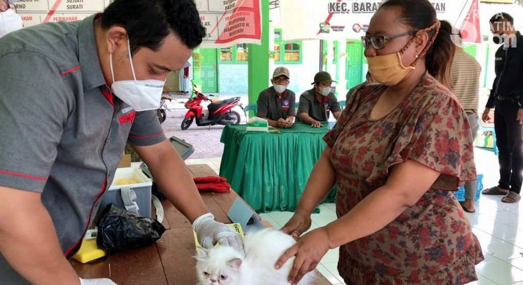 Diklaim Nol Kasus, Penyakit Rabies di Magetan Sulit Dideteksi