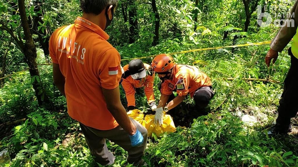 Mayat Bayi di Hutan Gembolo Mojokerto Alami Pembusukan di Kepala