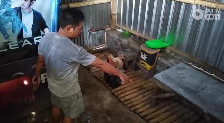 Video Viral Warga Kejar Maling Elpiji 3Kg di Paiton Probolinggo