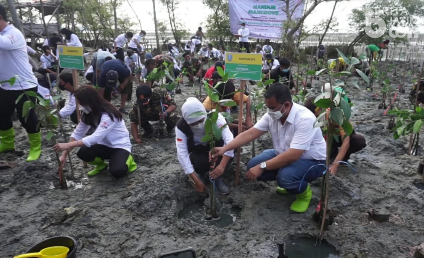Gubernur Jatim Khofifah Indar Parawansa Tanam Mangrove di Banyuurip Gresik