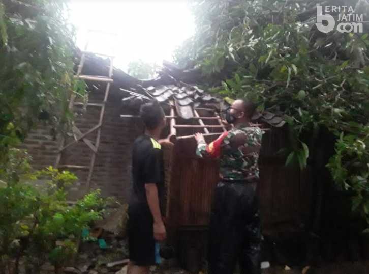 Puting Beliung Terjang Ngawi, 6 Rumah dan 1 Mobil Tertimpa Pohon Trembesi