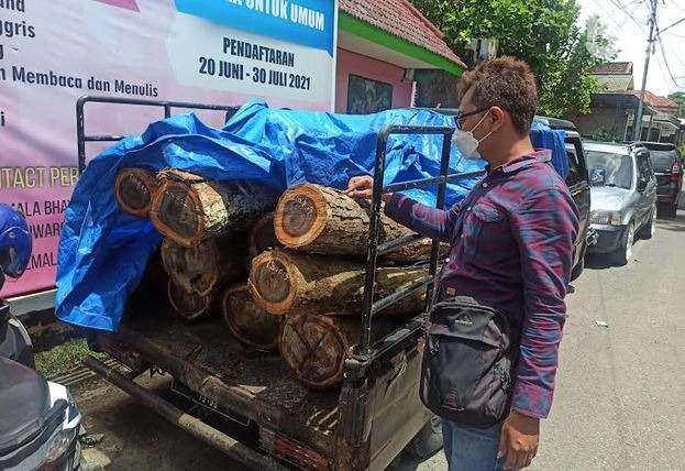 3 Orang Kepergok Curi Kayu Sono di Ponorogo