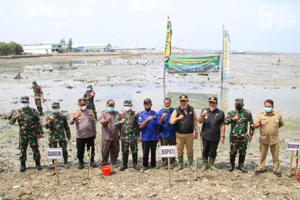 Cegah Abrasi dan Jaga Ekosistem, Korem 082 dan Pemkab Lamongan Tanam Mangrove