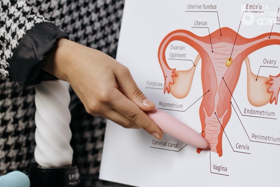 Kista Bartholin, Penyebab dan Risiko Kelainan Pada Vagina