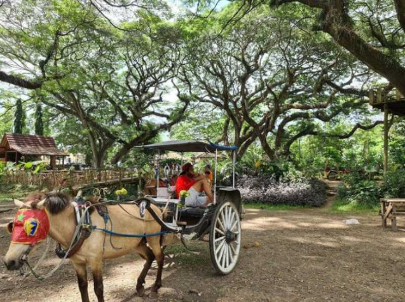 Hutan De Djawatan,