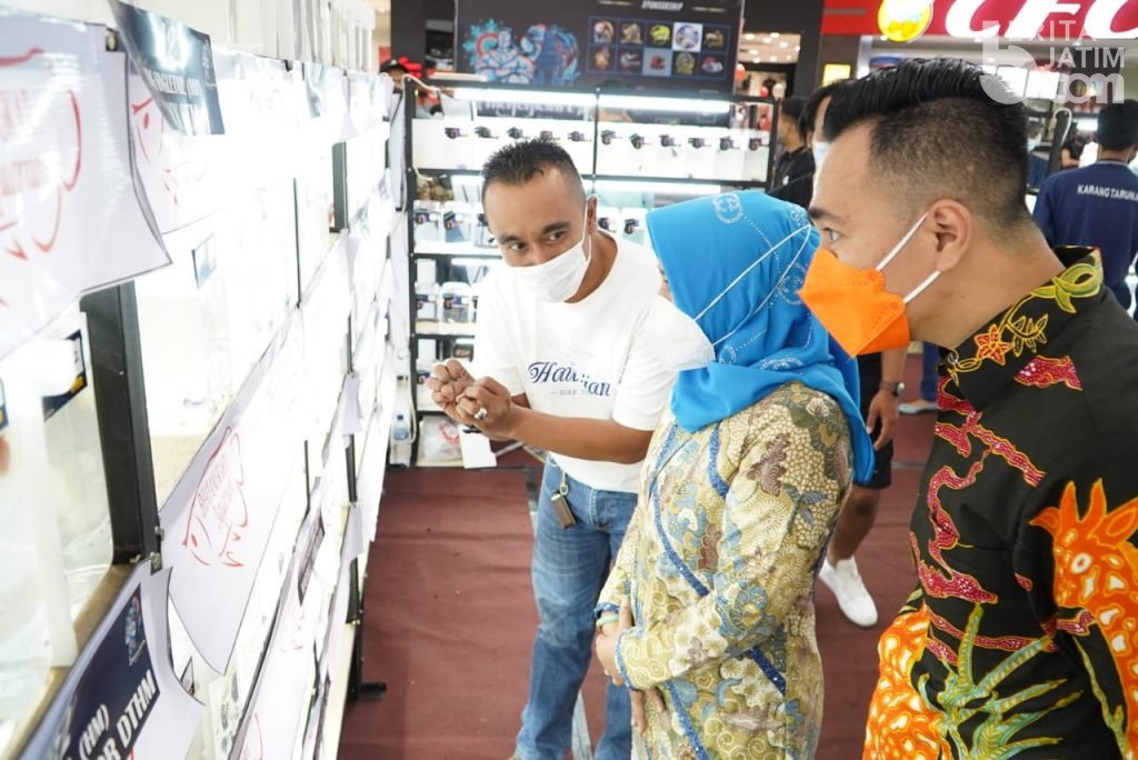 Kota Mojokerto Jadi Tuan Rumah Kontes Ikan Cupang Internasional