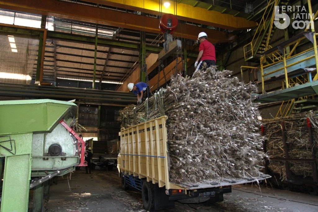 PTPN X Berhasil Giling 3,5 Juta Ton Tebu Di 2021