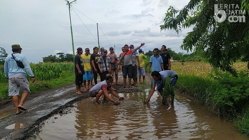 Protes Jalan Rusak, Warga di Probolinggo Tanam Pohon dan Mancing di Jalanan