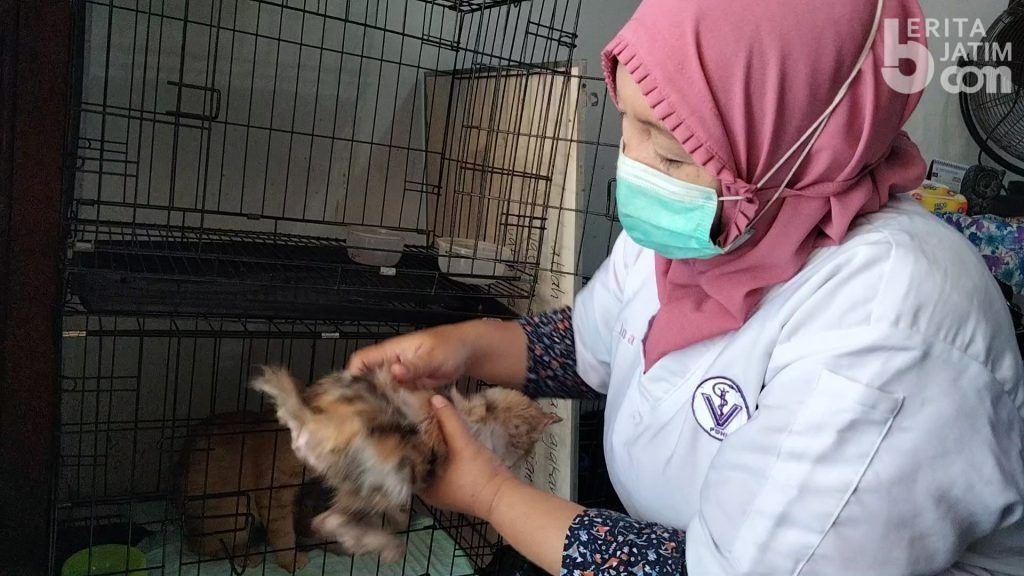 Pandemi, Mantan Wartawan di Mojokerto Ini Sukses Buka Klinik Hewan