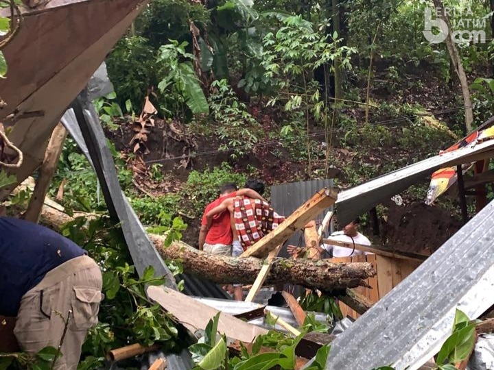 Musibah di Pertirtaan Jolotundo Mojokerto, Wisatawan Tewas Tertimpa Pohon