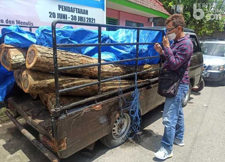 Begini Kronologis 3 Pelaku Ilegal Logging di Ponorogo