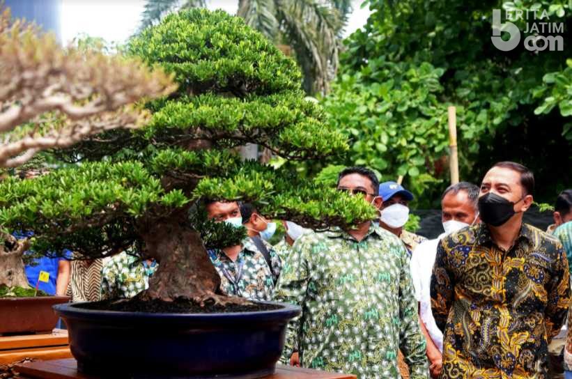 Pameran Bonsai Nasional Surabaya, Awal Kebangkitan UMKM di Kota Pahlawan