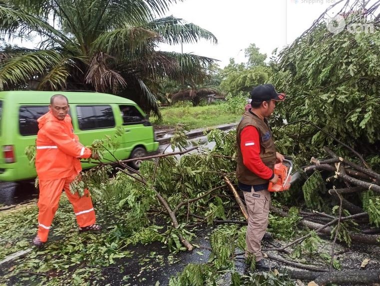 Hujan Lebat, Belasan Pohon Tumbang di Akses Jembatan Suramadu