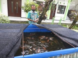 Kecamatan Blimbing Kota Malang Suskes Kembangkan Urban Farming