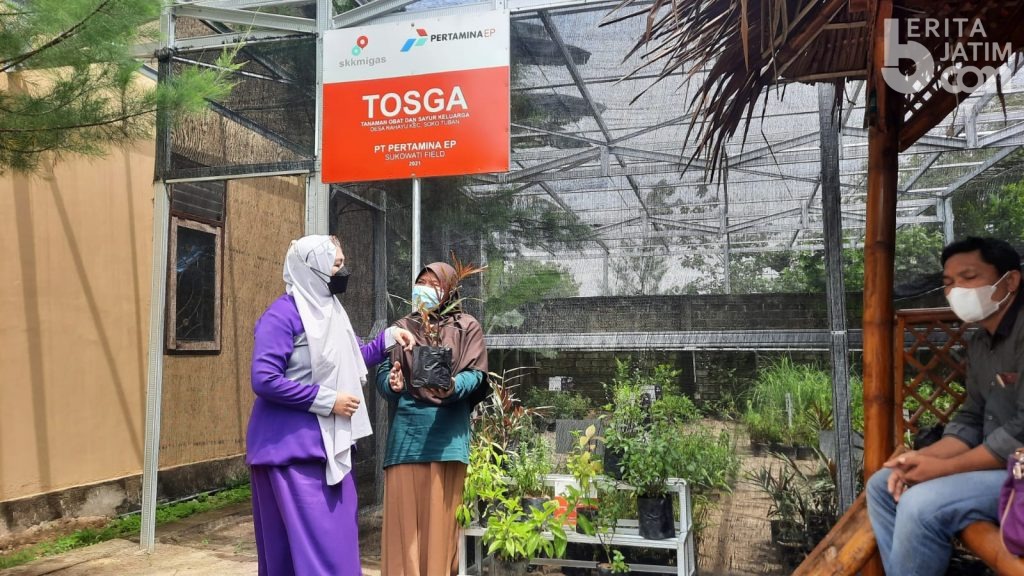 Lansia Berdaya di Masa Senja dengan Merawat Tosga