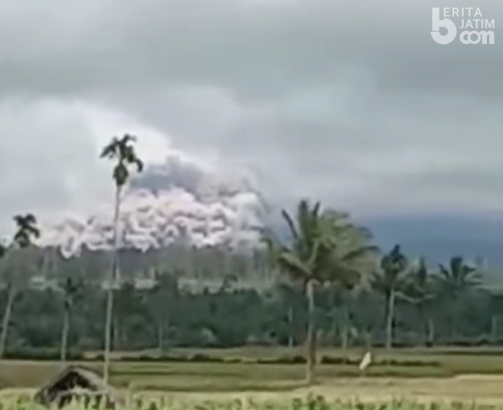 Gunung Semeru Kembali Erupsi, Alhamdulilah Nihil Korban Jiwa