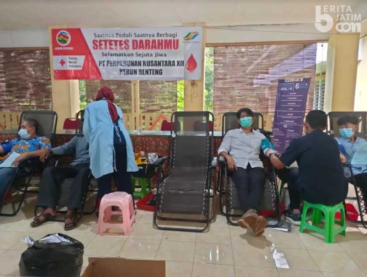 Berburu Darah di Kawasan Perkebunan Jember