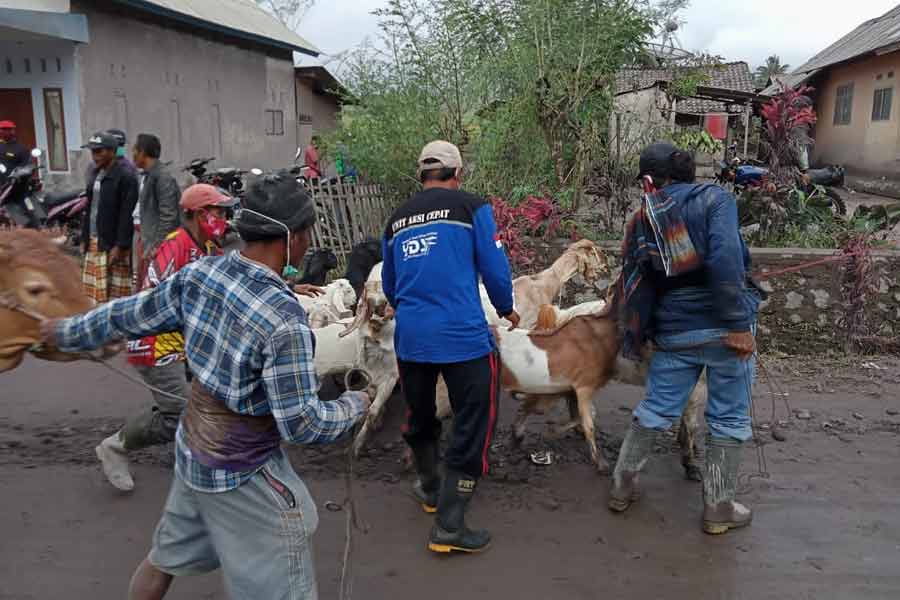 Bantu Proses Evakuasi, YDSF Kirim Tim ke Lokasi Bencana
