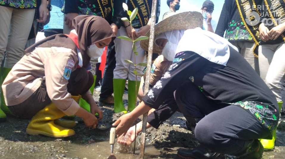 Gubernur Jatim Giat Tanam Mangrove di Pantai Bohay Probolinggo