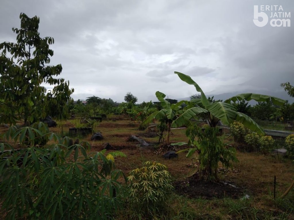 Inspeksi Kebun Buah Srogo, DPRD Magetan Temukan Fakta Mengejutkan