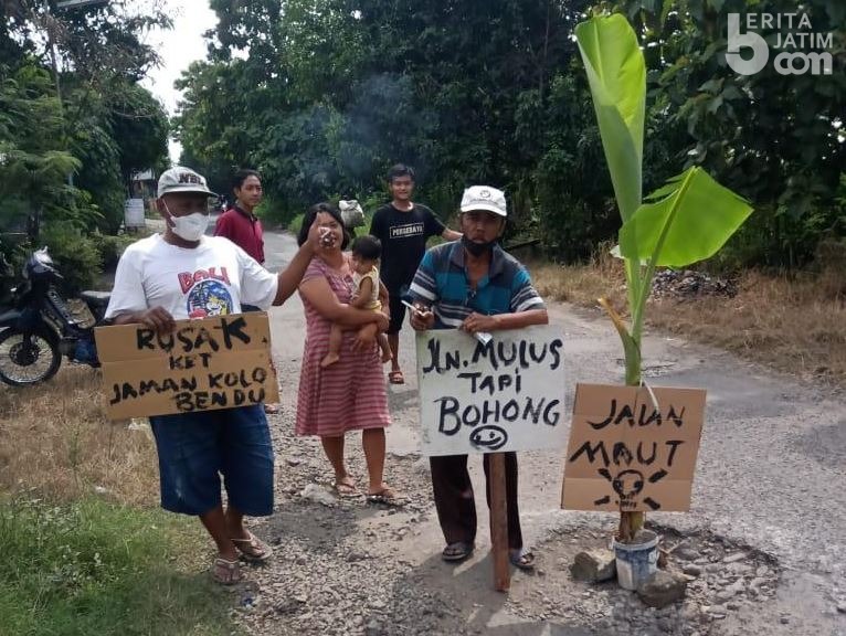 Sering Kecelakaan, Warga Jombang Tanam Pisang di Jalan Berlubang