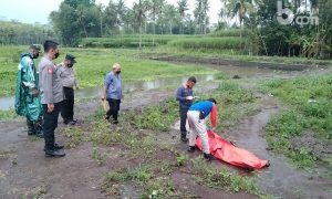 Mayat Laki-laki Mengapung di Embung Desa Suwaru Malang