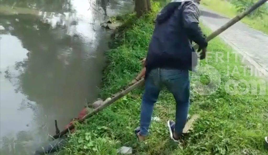 Mayat Wanita Cantik Mengapung di Sungai Buduran Sidoarjo