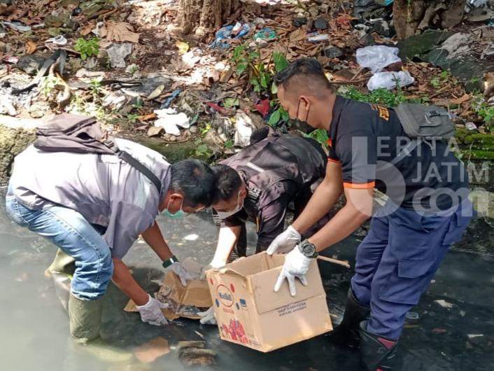 Kerja Bakti di Surabaya, Warga Temukan Mayat Bayi