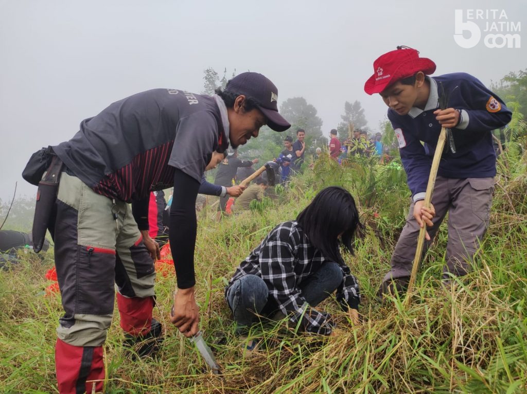 Relawan Lingkungan Tanam 500 Cemara di Gunung Penanggungan