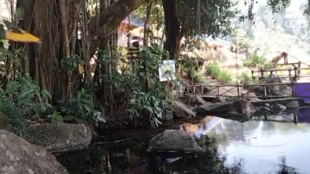 Wisata Sawah Sumber Gempong Trawas Mojokerto Merupakan Tempat Pertapaan Majapahit