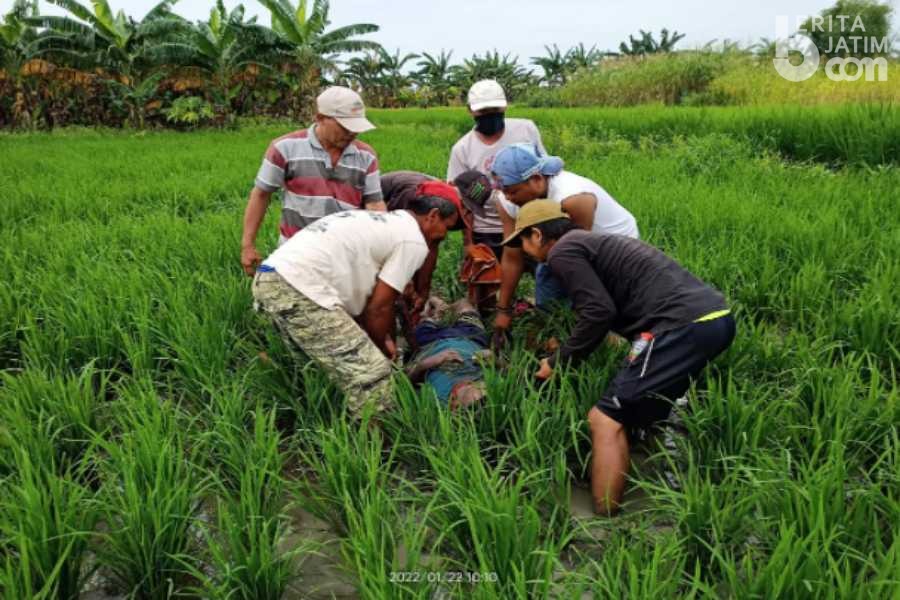 Seorang Lansia Gresik Ditemukan Tak Bernyawa di Tengah Sawah