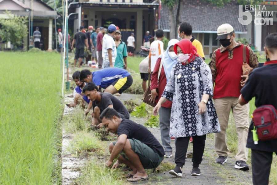 Tips Berantas Nyamuk Ala Wabup Ponorogo Lisdyarita