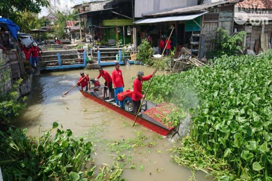 Bantu Atasi Banjir, Kader PDIP Desa Tiwet Lamongan Kerahkan Perahu Penghancur Eceng Gondok
