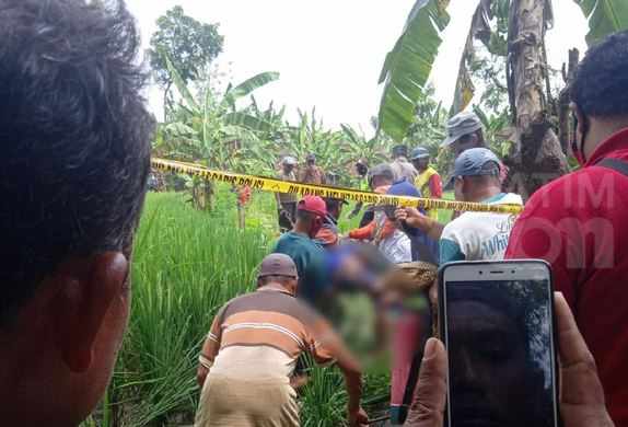 Petani Ngawi Meninggal Tersengat Jebakan Tikus Sendiri
