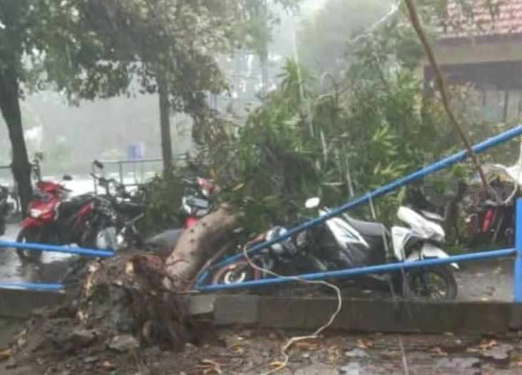 Surabaya Hujan Es, Netizen Infokan Puluhan Sepeda Motor Tertimpa Pohon Tumbang