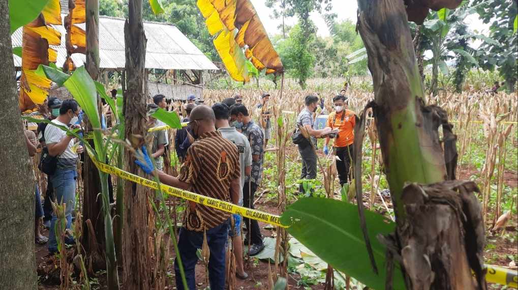 Gara-gara Bangkai Ayam, Petani di Tuban Tewas Dibacok Keponakan