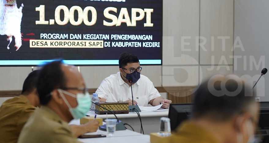 Mas Dhito Minta Lintas Sektor Bekerja Sukseskan Korporasi Sapi di Kabupaten Kediri